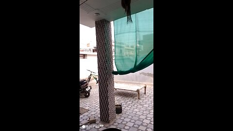 🐦‍⬛🐦‍⬛