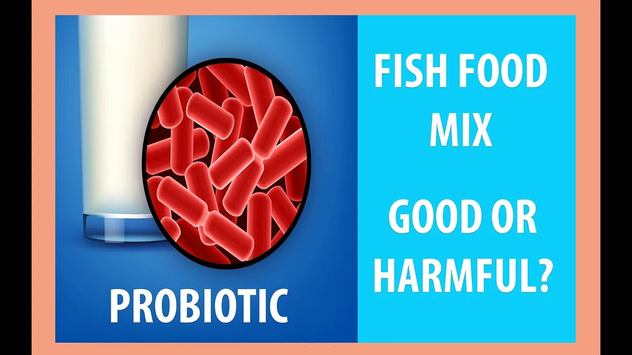 Probiotic for Fish Food | Fast Growth | Fish Vitamins
