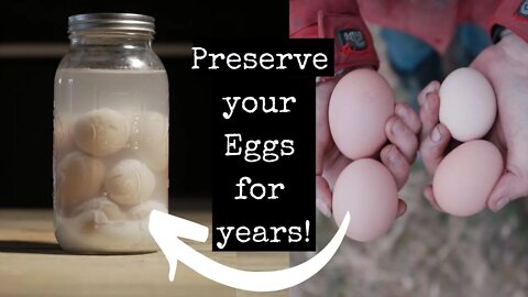 How to Preserve Your Spring Eggs For Winter Use: The Liming Method and what NOT to do