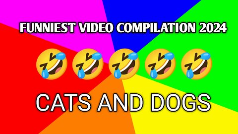 Latest funniest cat and dog videos in 2024