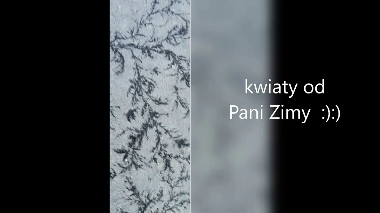 kwiaty od Pani Zimy :):) Anna Budzik