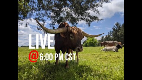 LIVE Life Updates AMA