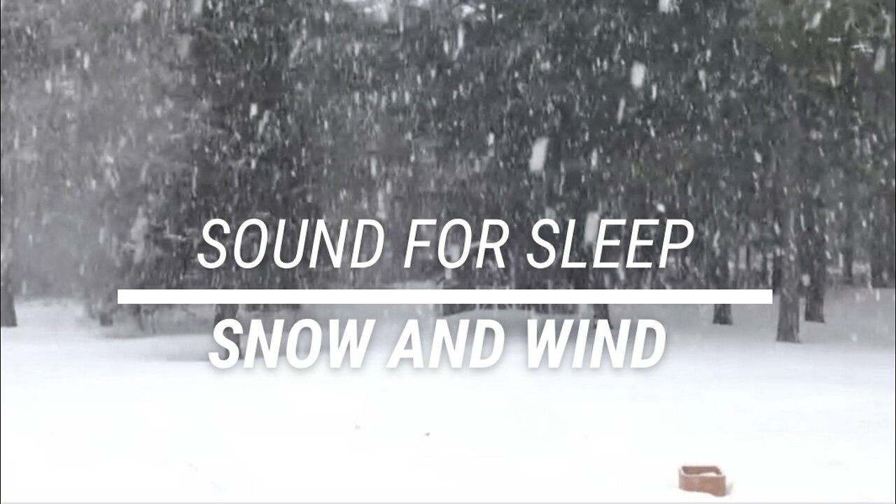 Sound for sleep Snow and Wind 3 hours