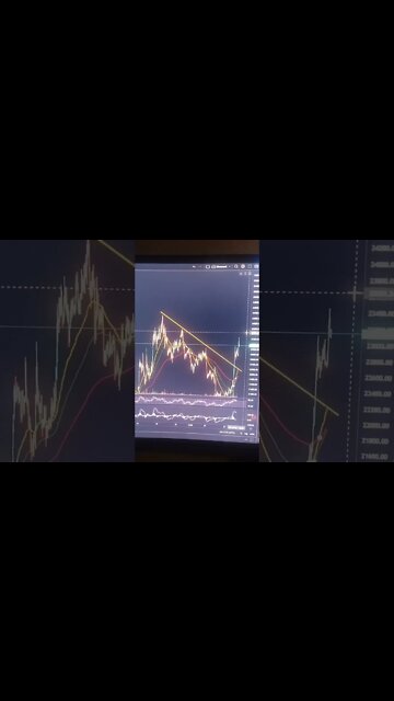 Ethereum Bitcoin or Cardano?