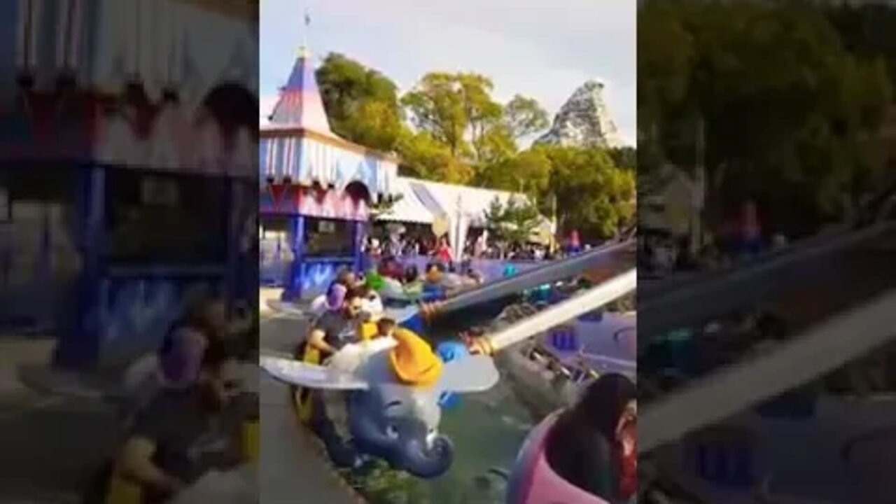 Dumbo Ride At Disneyland