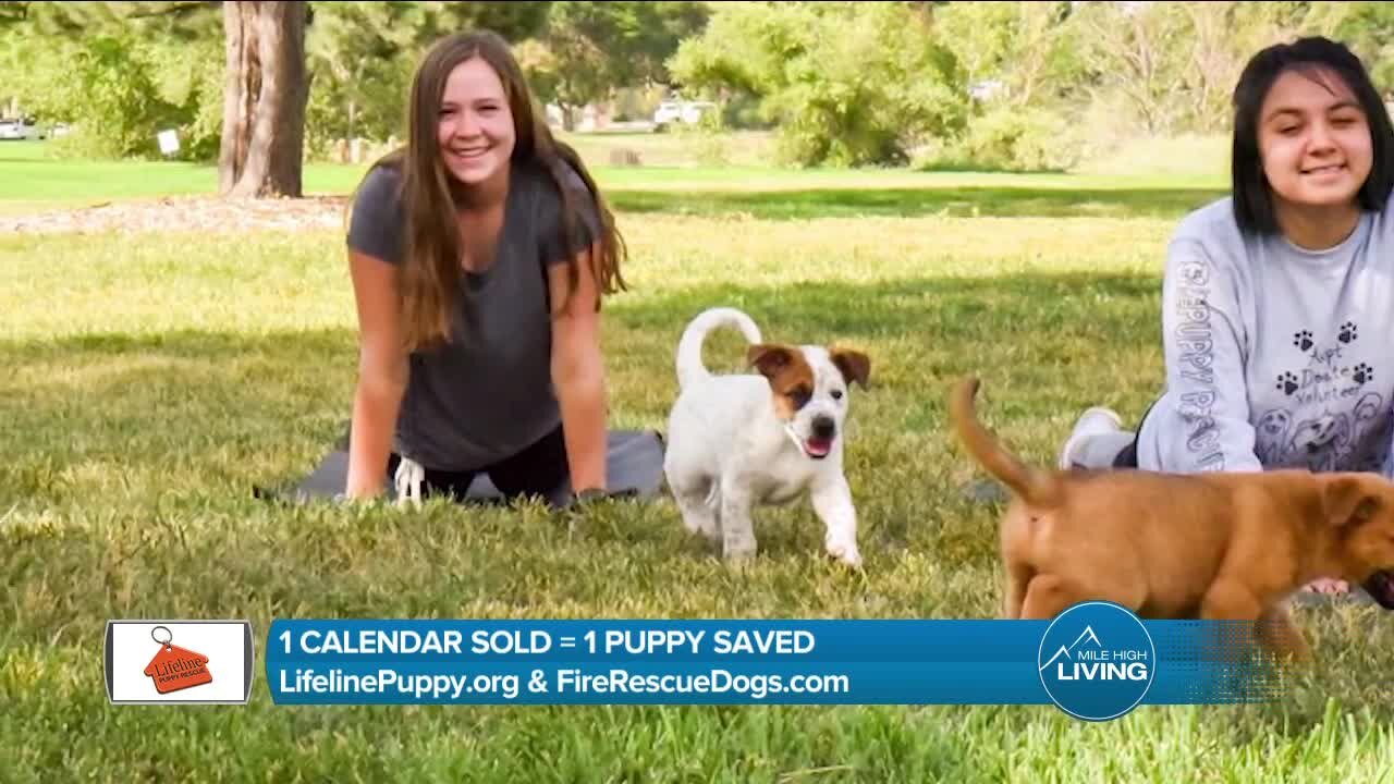 1 Calendar = 1 Puppy Saved // Lifeline Puppy Rescue