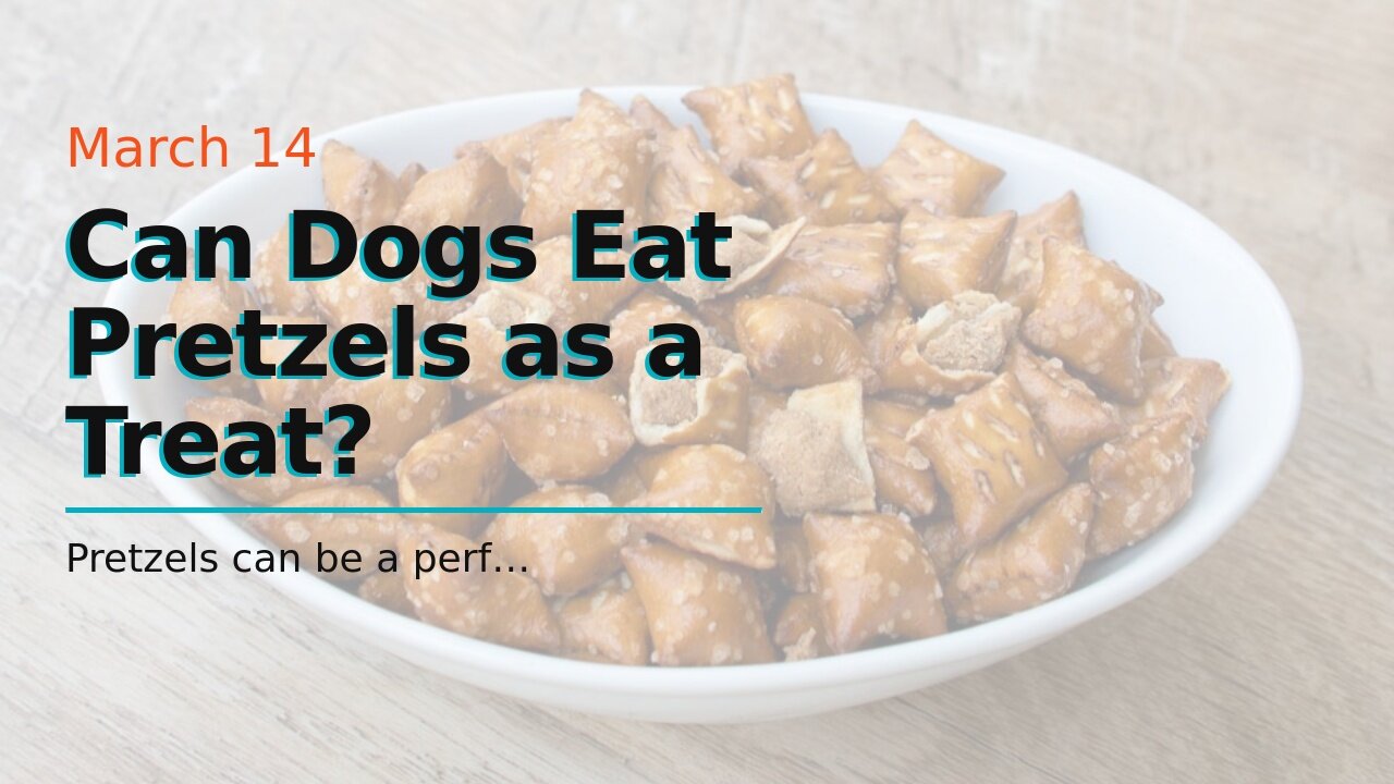 Can Dogs Eat Pretzels as a Treat?