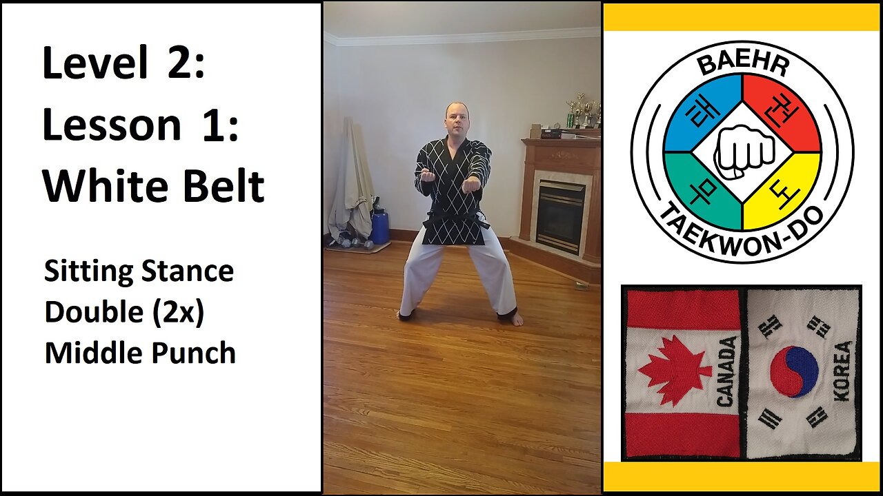 Baehr Taekwondo: 02-01: Yellow Stripe: Sitting Stance - Double Middle Punch (punch 2x)