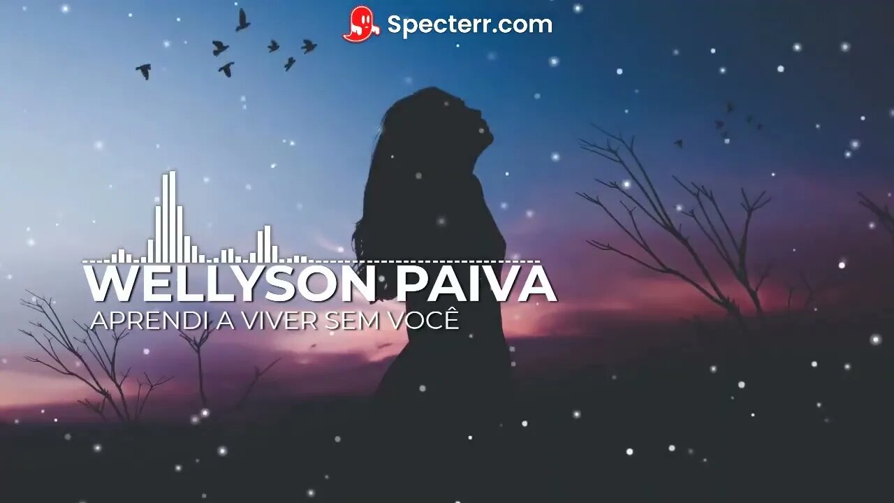 Wellyson Paiva - Aprendi a viver sem você (Autoral)