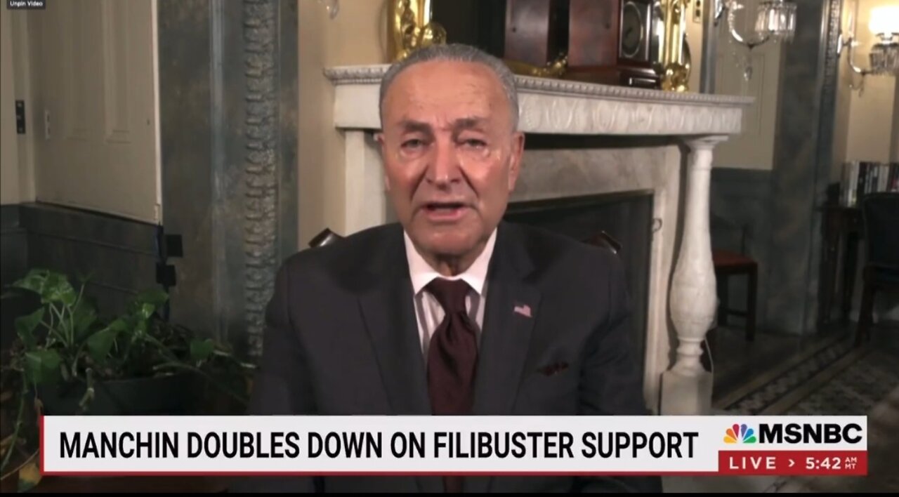 Schumer Admits Dems Will Lose Election If We Don’t Pass Voting Rights