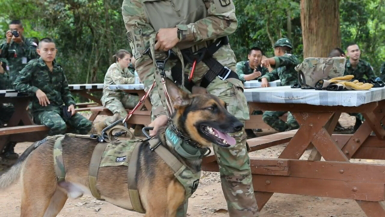 Military Working Dogs Repel Training Hanuman Guardian 2023