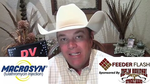 Feeder Flash 10/9: Buyer's/Seller's Market