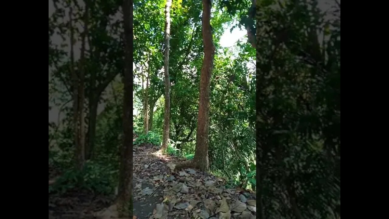 Pemandangan Yang Indah