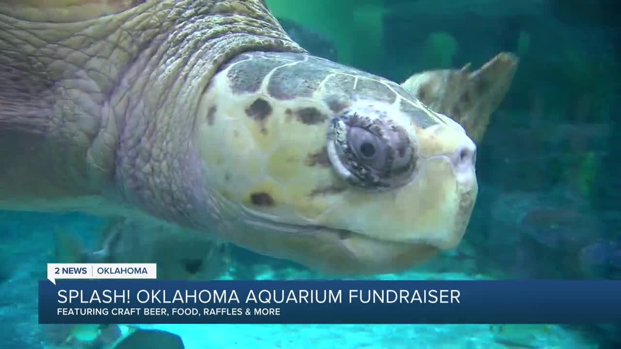 Oklahoma Aquarium raising money for Fish Friend Scholarship Fund