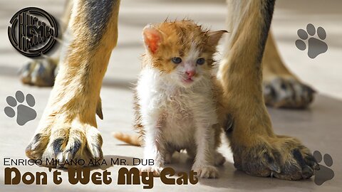 Don't wet my cat | Seashore Cafe
