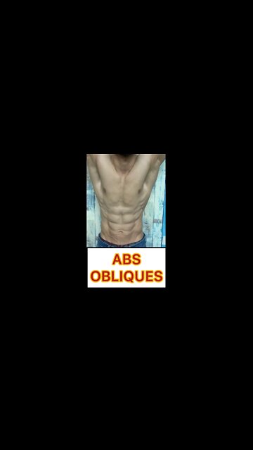 ABS and OBLIQUES #shorts #youtubeshorts