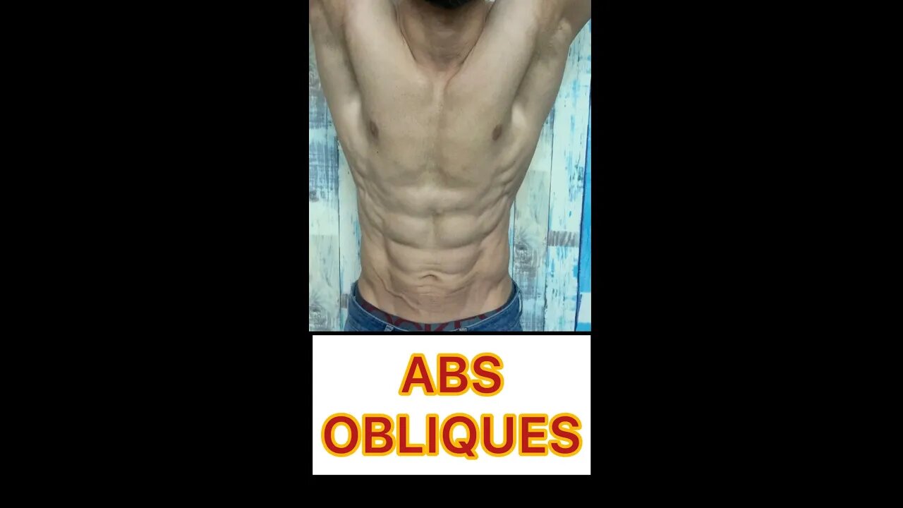 ABS and OBLIQUES #shorts #youtubeshorts