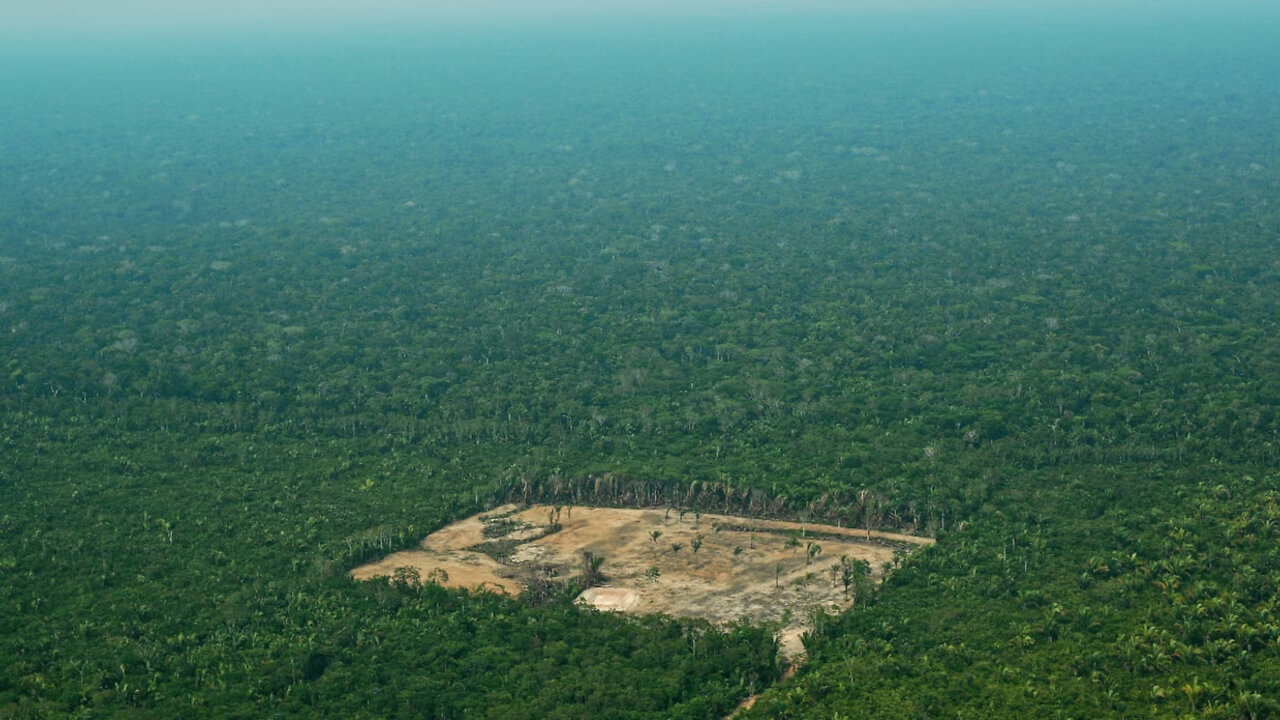 A batalha pelas riquezas da floresta Amazônica.