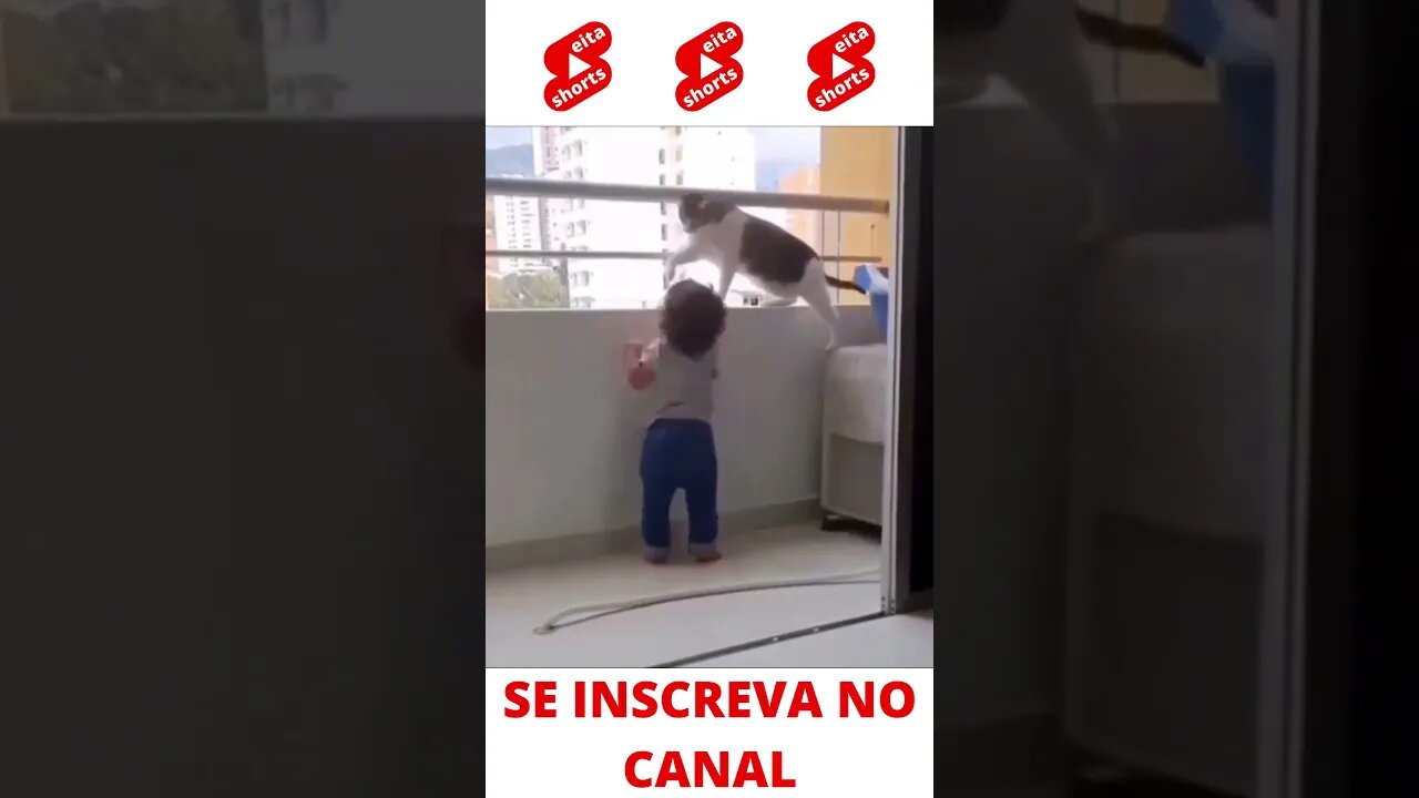 Gato, o melhor "Babá" #shorts