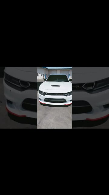 Scatty In Full Effect!