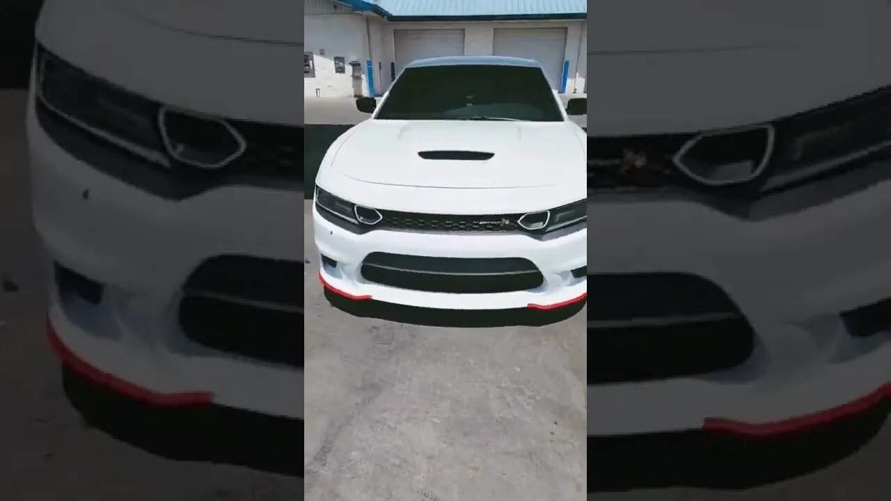 Scatty In Full Effect!