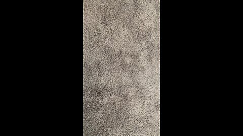 Landscape, 480p