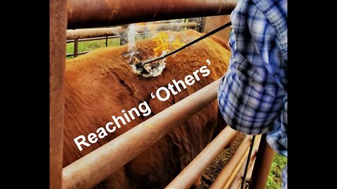 How Does the Ag Community Reach 'Outsiders' (In the Chute - Round 79)