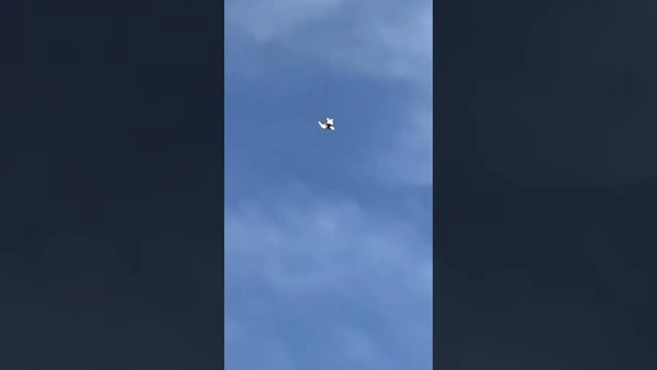 Very cool landing! 👌