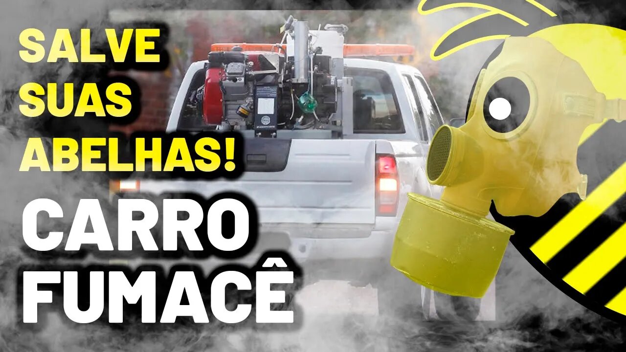 CARRO FUMACÊ | COMO PROTEGER as ABELHAS NATIVAS SEM FERRÃO no MELIPONÁRIO URBANO