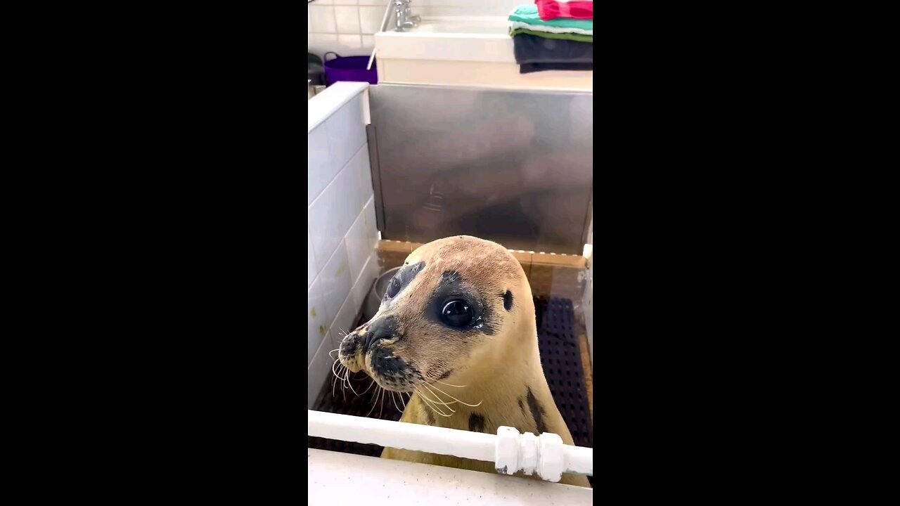 ohh man he's so cute (part 3)