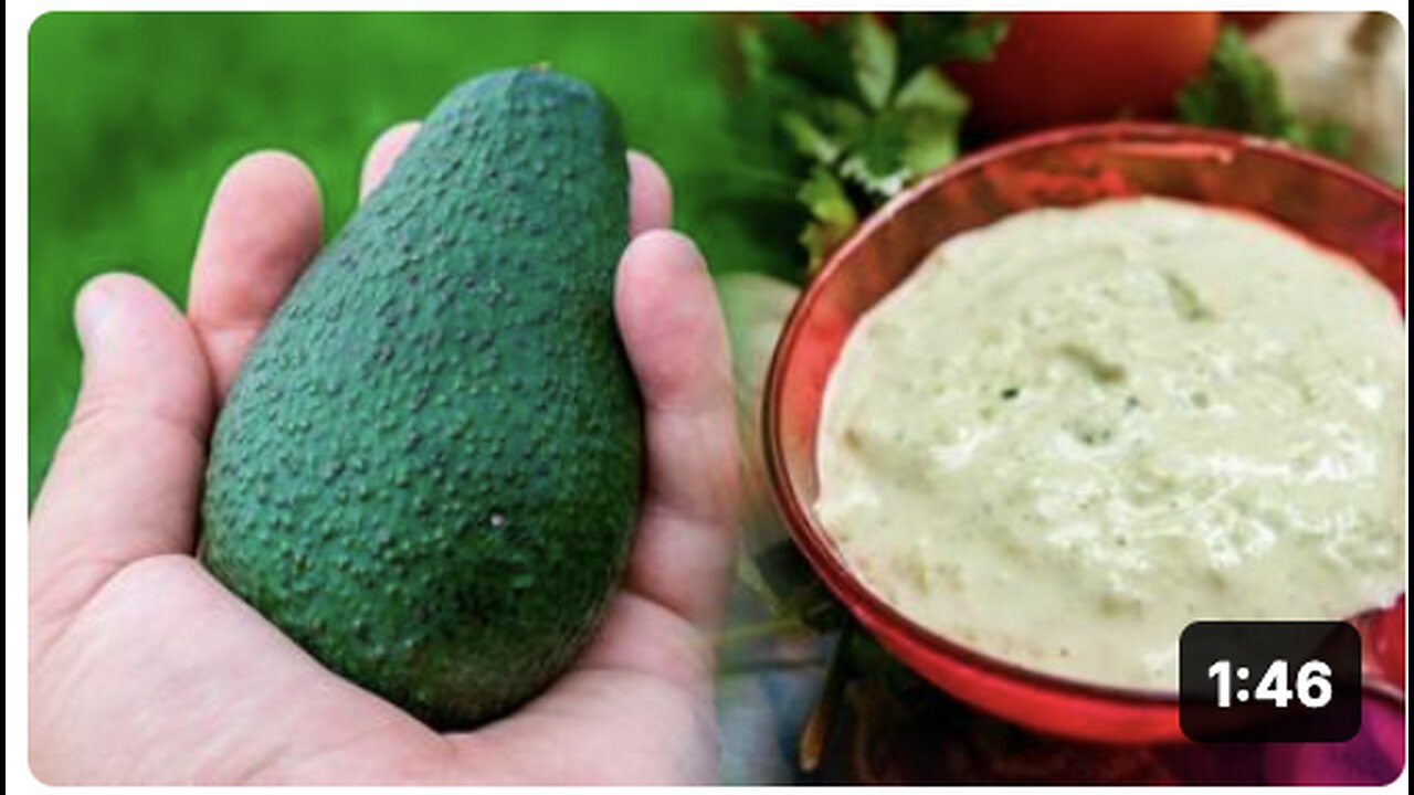 How to Make Egg Free Avocado Mayonnaise