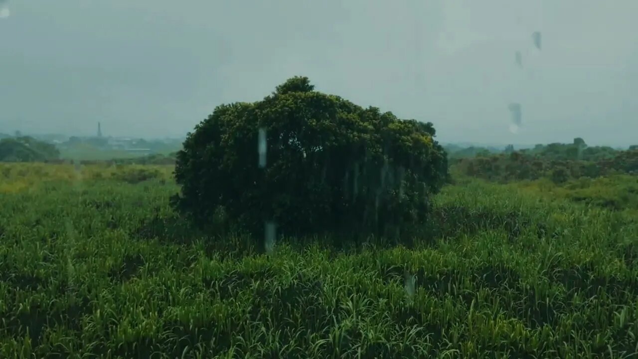 Rain with a thunderstorm for instant sleep. Дощ з грозою для миттєвого сну.