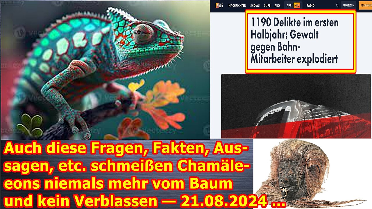 Auch diese Fragen, Fakten, Aussagen, etc. schmeißen Chamäleons niemals mehr vom Baum — 21.08.24 ...