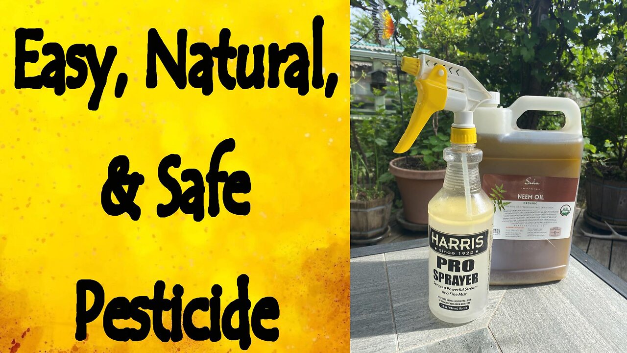 Natural, Safe, Organic, and Easy Pesticide