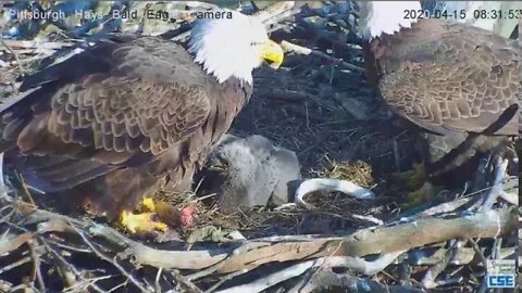 Hays Eagles family breakfish 2020 04 15 08 31 34 320