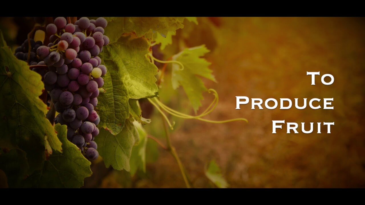 To Produce Fruit 【 Soul-Winning Motivation 】