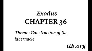 Exodus Chapter 36 (Bible Study)