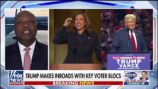 Sen Tim Scott: Democrats Are Losing Their Minds