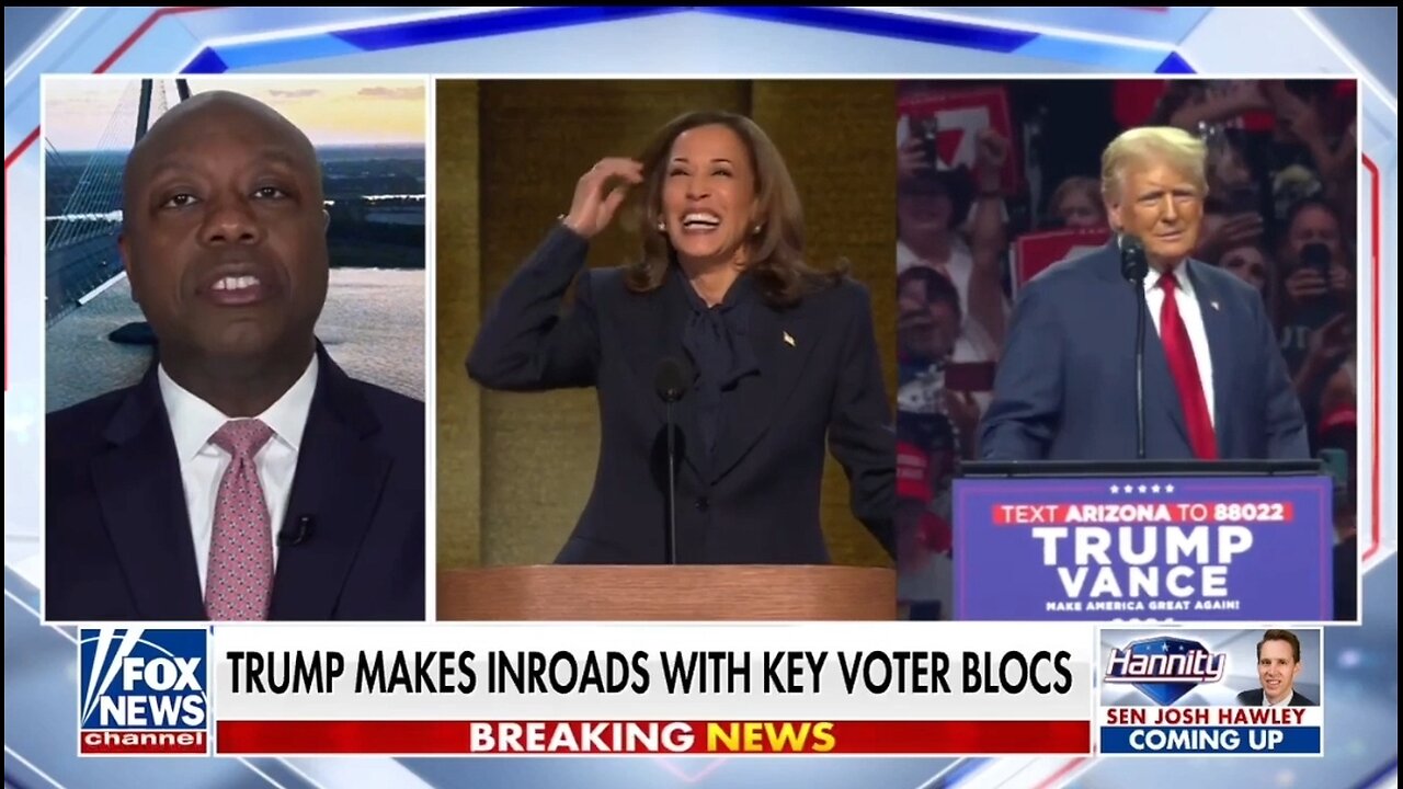 Sen Tim Scott: Democrats Are Losing Their Minds