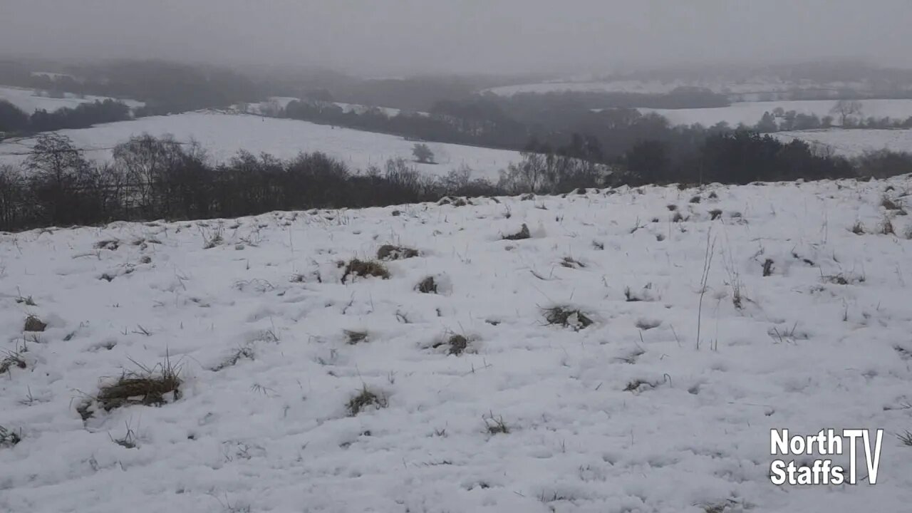 Snow, Lightwood, Stoke-on-Trent (01-01-2021)