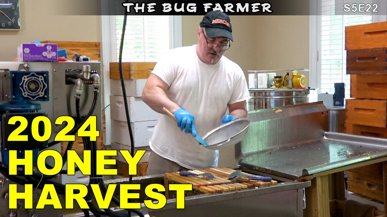 2024 Harvest | New Bee Yard | New Proccesses | New Equipment