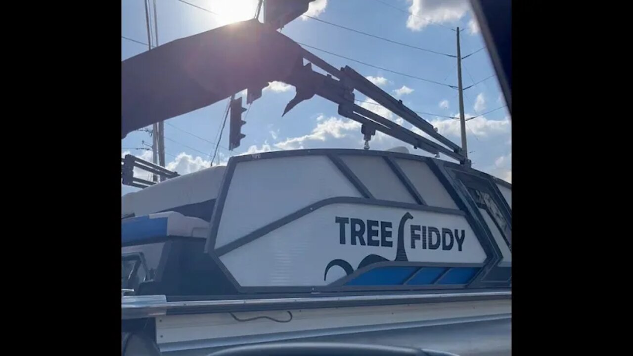 I need about Tree Fiddy