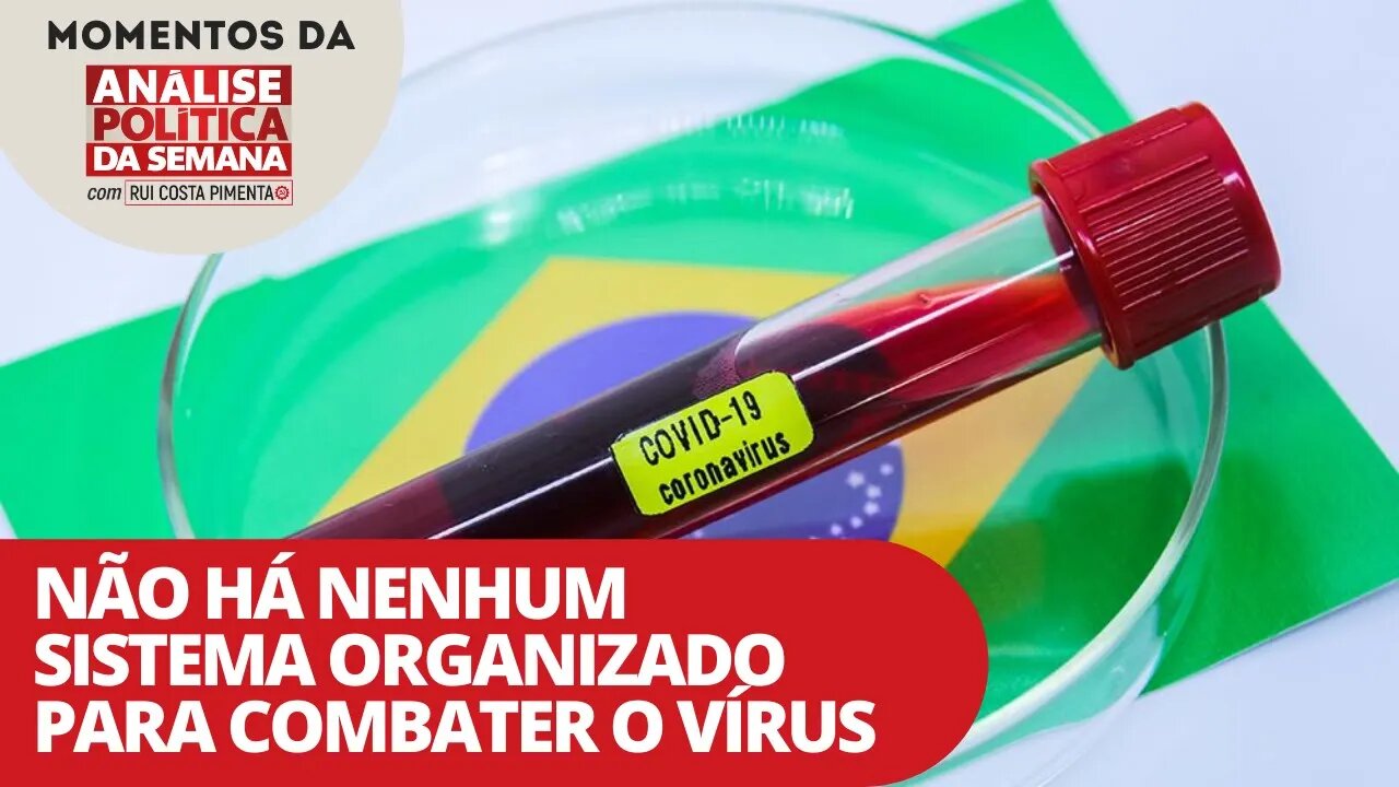 Não há nenhum sistema organizado para combater o vírus | Momentos da Análise Política da Semana