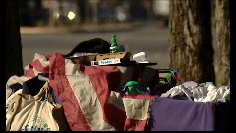 Examining efforts to address youth homelessness in metro Detroit