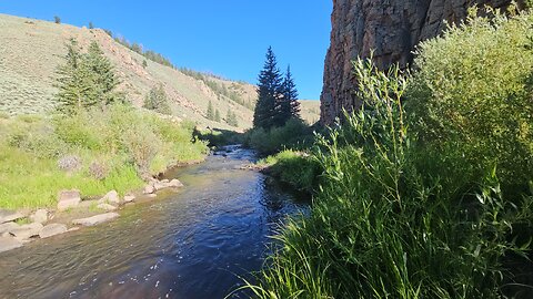 Colorado's Cochetopa Creek - Side Free/$0 Camping