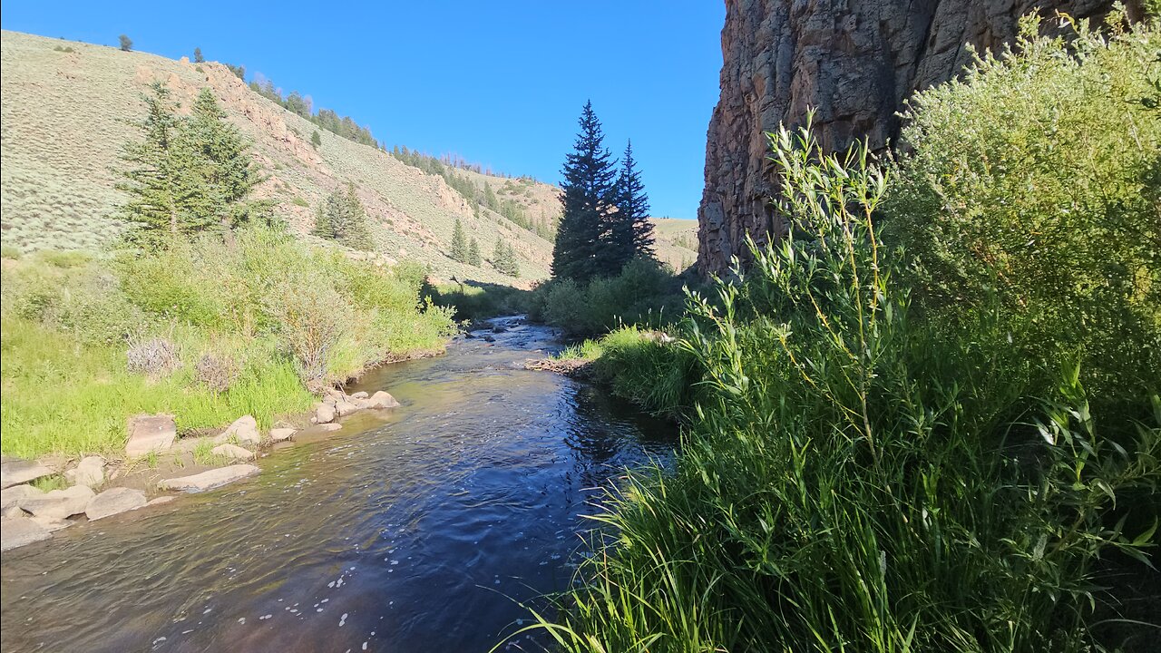 Colorado's Cochetopa Creek - Side Free/$0 Camping