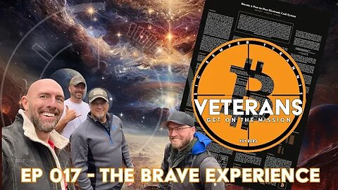017. Bitcoin Veterans - The Brave Experience