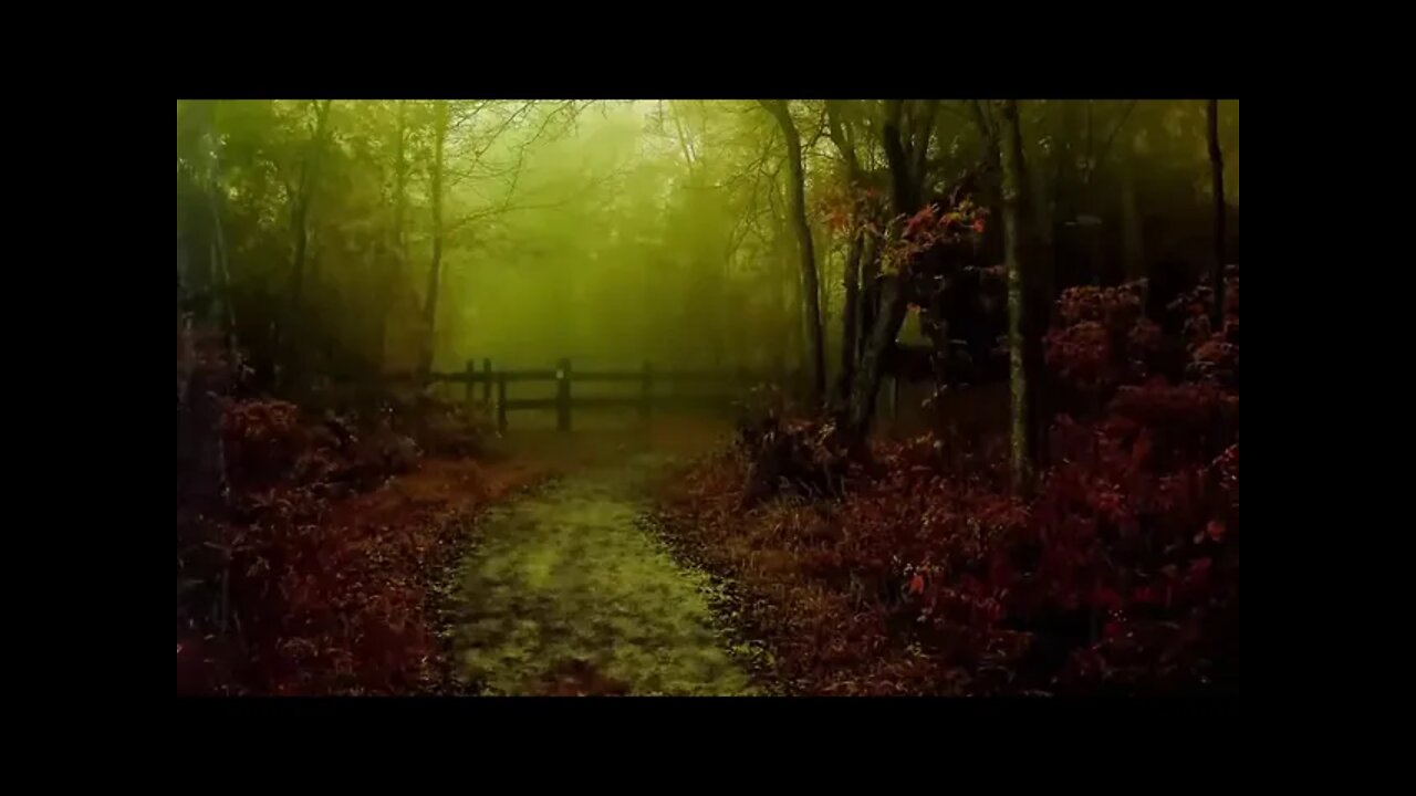 MÚSICA RELAXANTE COM BARULHO DE CHUVA PARA ACALMAR