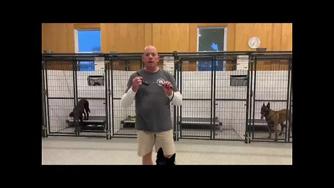 Dog Training and Equipment Basics. Never overlook the basics.