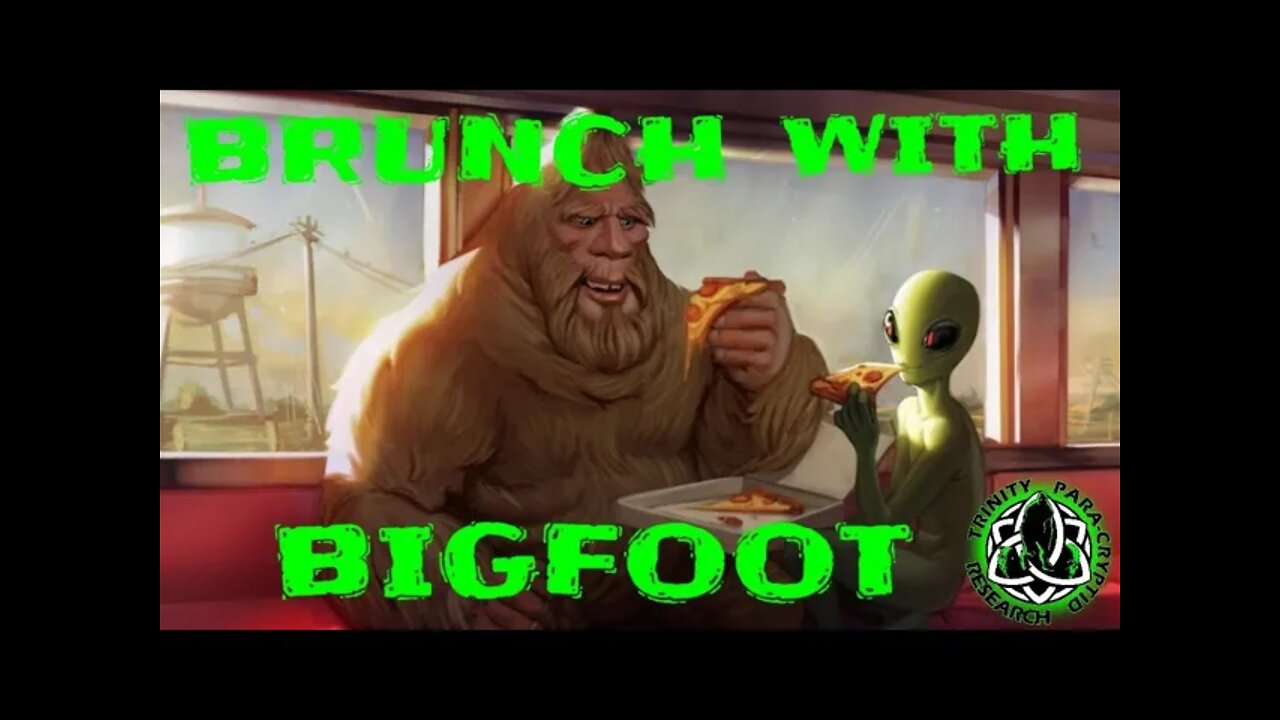 THE GUM SHOE GUY BIGFOOT PROFILOR PART 2